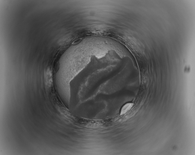 X0000102861106200808181434