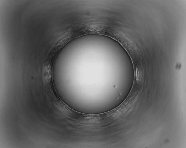 X0000102861107200808181434