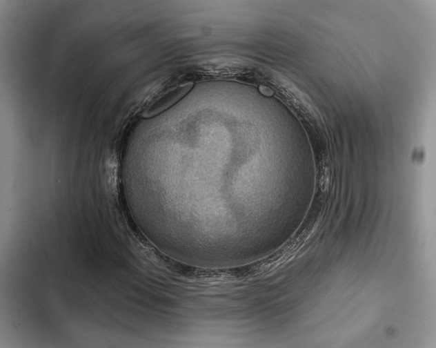 X0000102861108200808181434