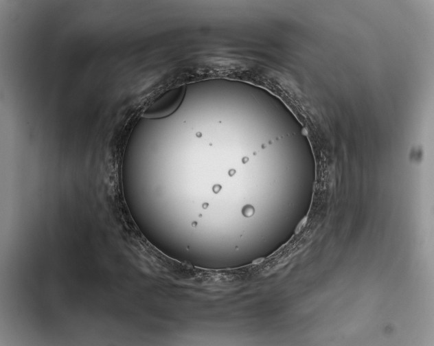 X0000102861109200808181434