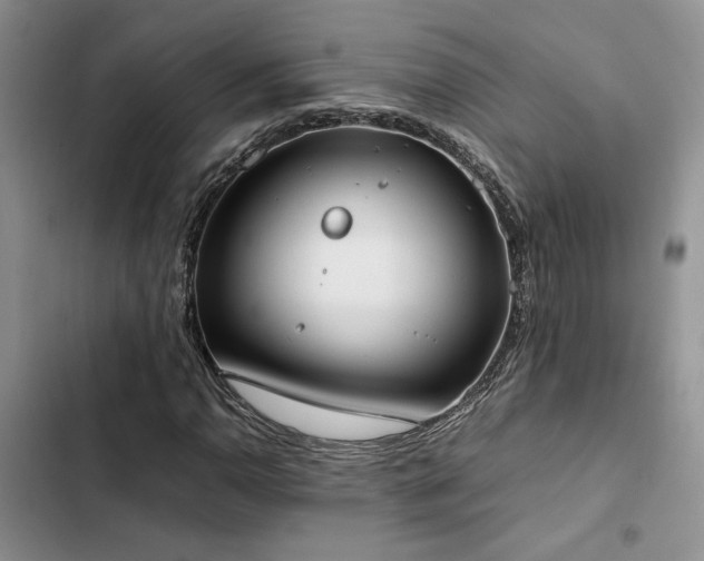 X0000102861110200808181434