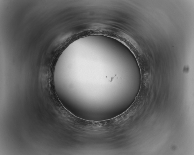 X0000102861111200808181434