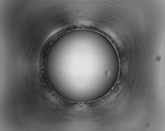 X0000102861112200808181434