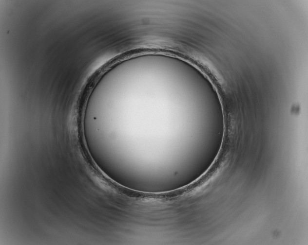 X0000102861114200808181434