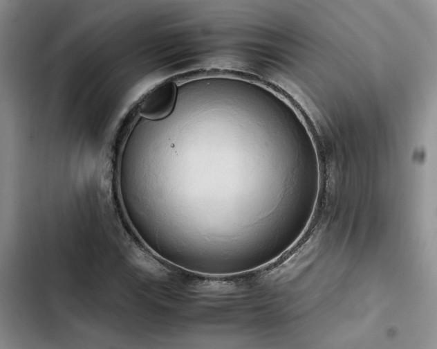 X0000102861115200808181434