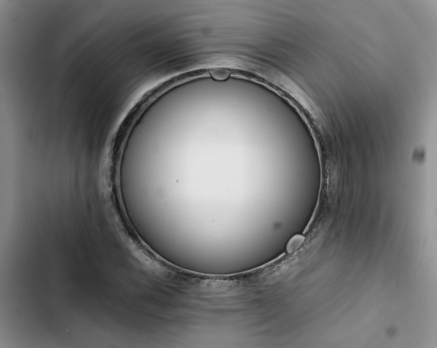 X0000102861116200808181434