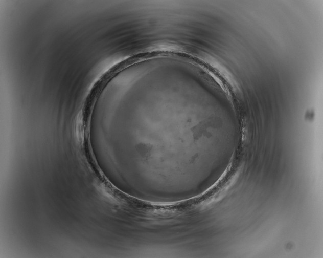 X0000102861117200808181434