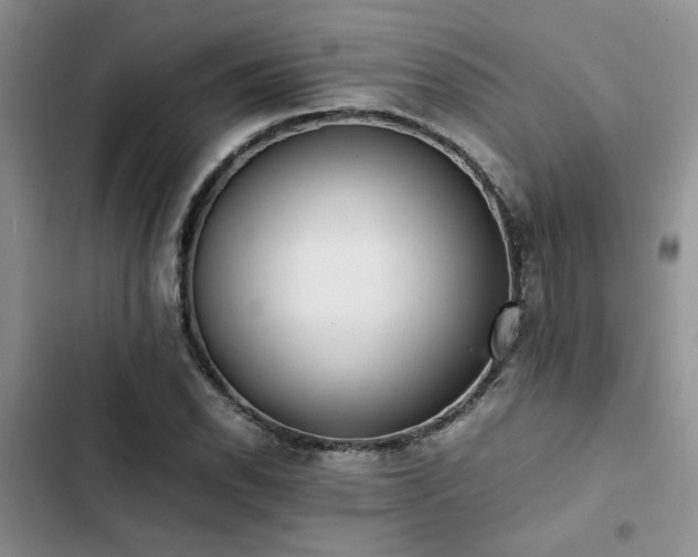 X0000102861118200808181435