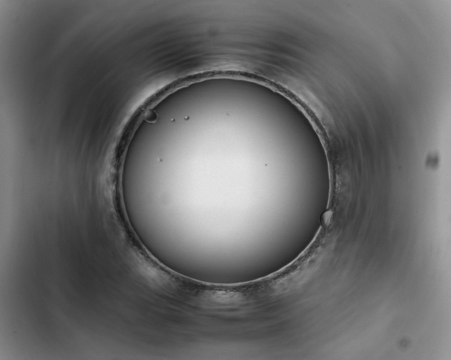 X0000102861119200808181435