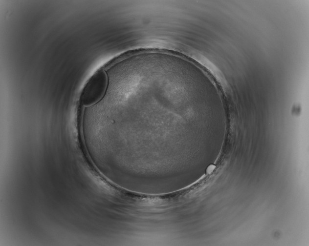 X0000102861120200808181435