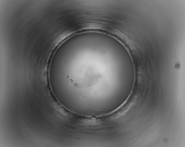 X0000102861121200808181435