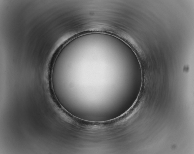 X0000102861122200808181435