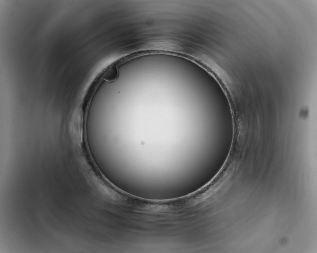 X0000102861123200808181435