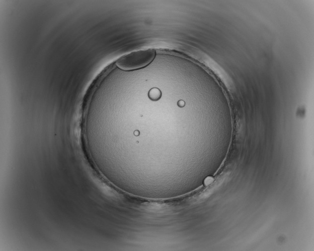 X0000102861124200808181435