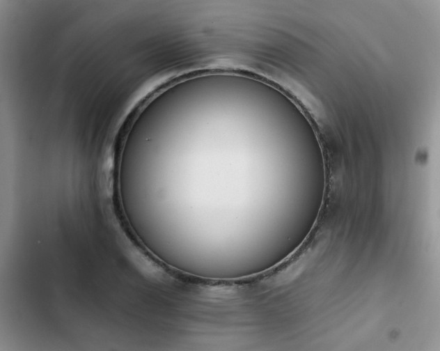 X0000102861126200808181435