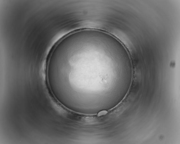 X0000102861128200808181435