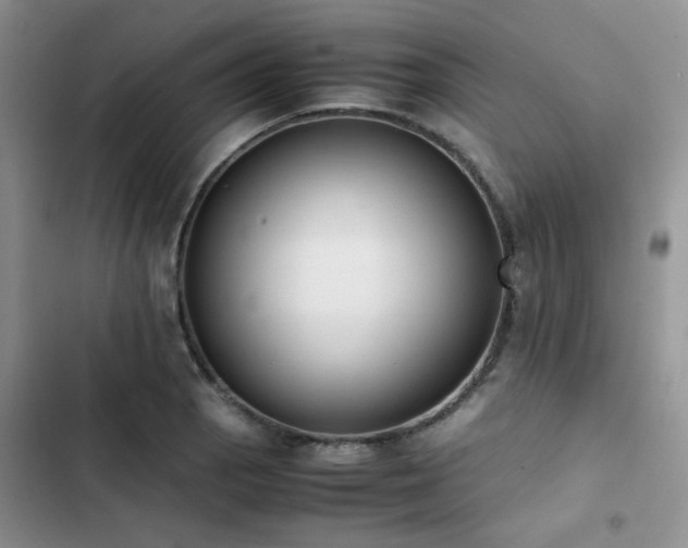 X0000102861129200808181435