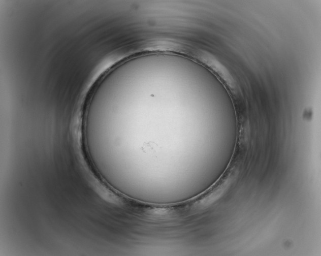 X0000102861130200808181435