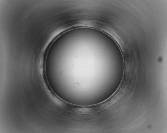 X0000102861131200808181435