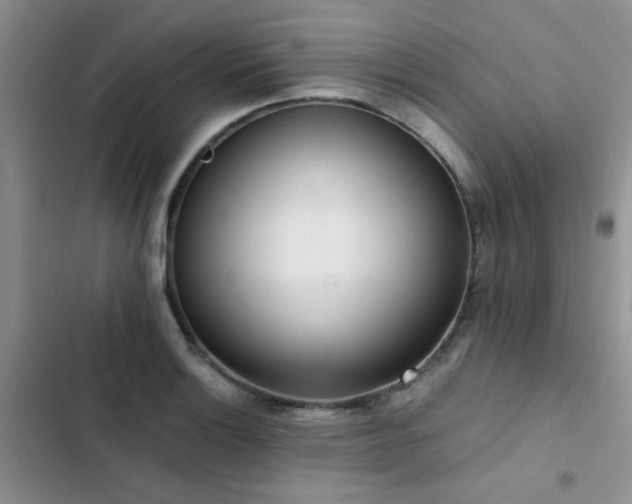 X0000102861132200808181435