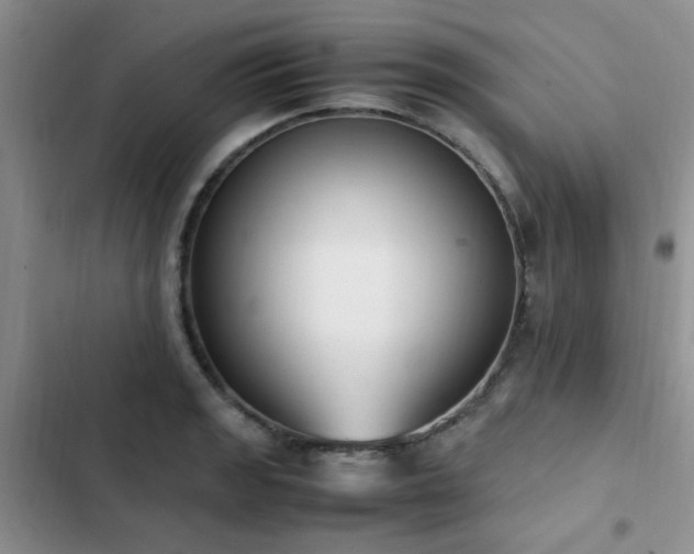 X0000102861133200808181435