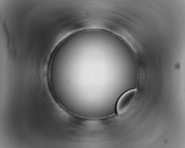 X0000102861134200808181435