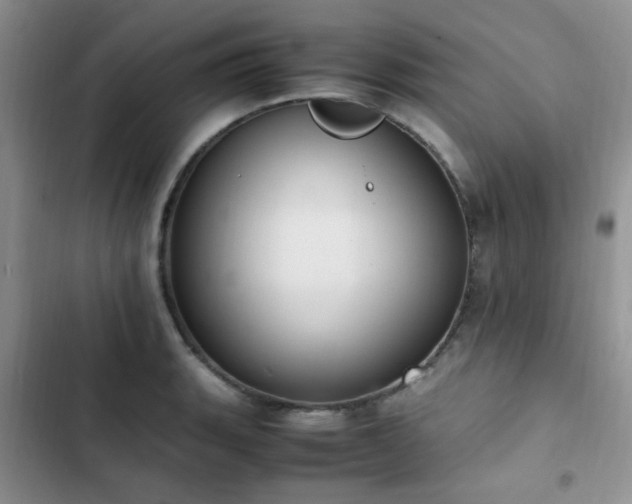 X0000102861135200808181435