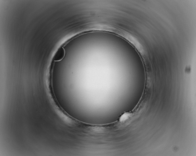 X0000102861136200808181435