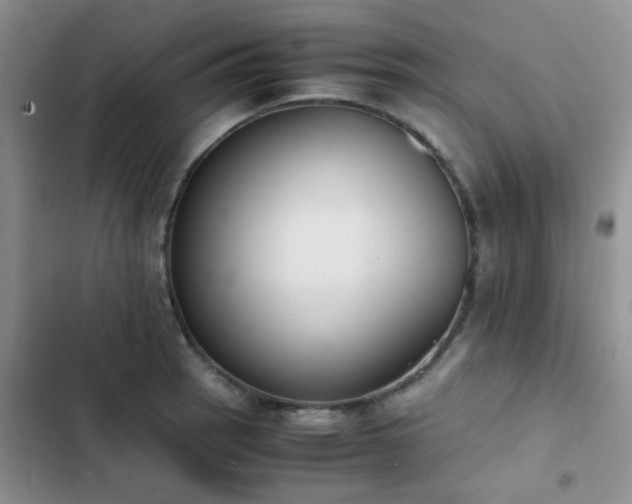 X0000102861137200808181435