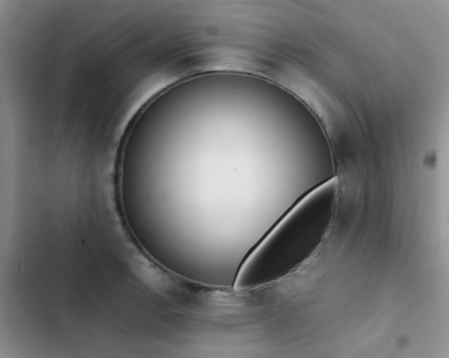 X0000102861138200808181435