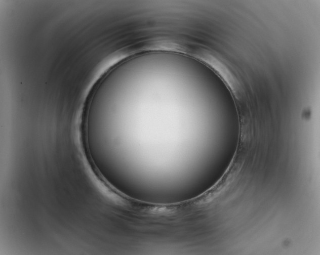 X0000102861139200808181435