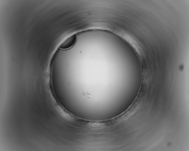 X0000102861140200808181435