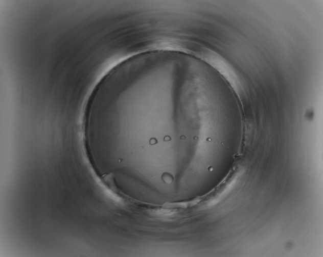 X0000102861141200808181435