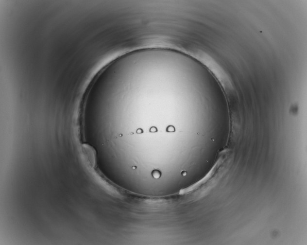 X0000102861142200808181435