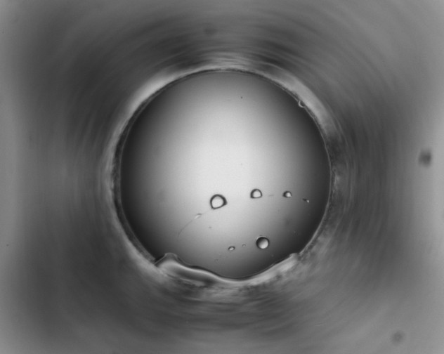 X0000102861143200808181435