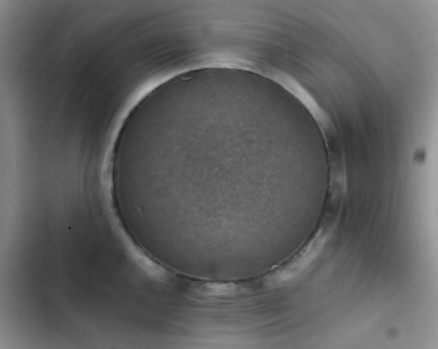 X0000102861144200808181435