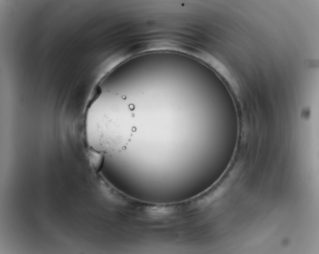 X0000102861145200808181435