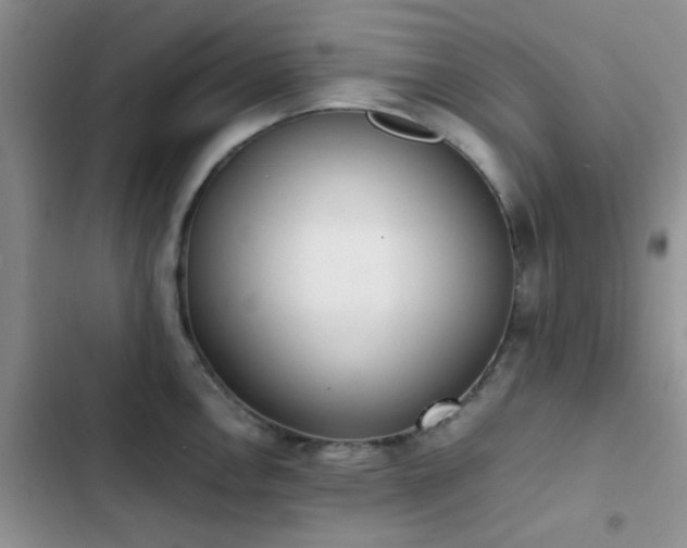 X0000102861146200808181435