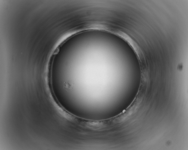 X0000102861147200808181435