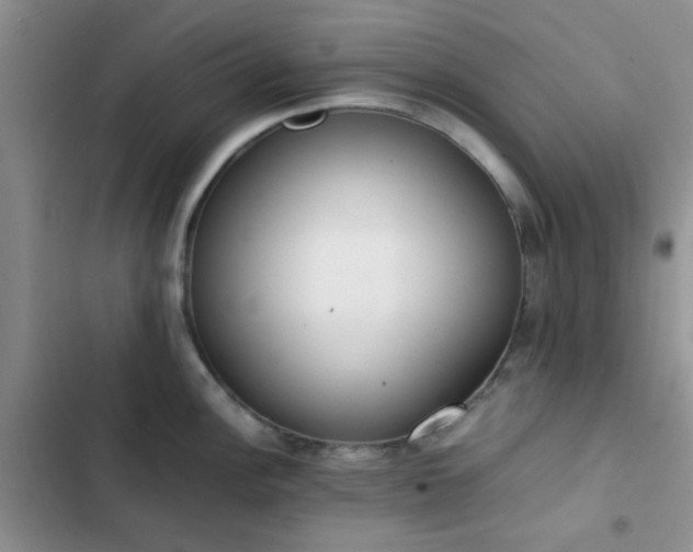 X0000102861148200808181435