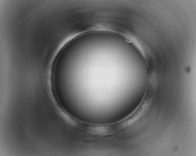 X0000102861149200808181435