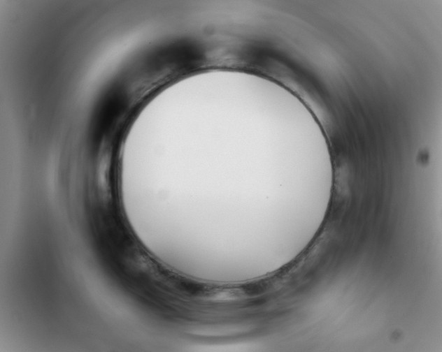 X0000102861150200808181435