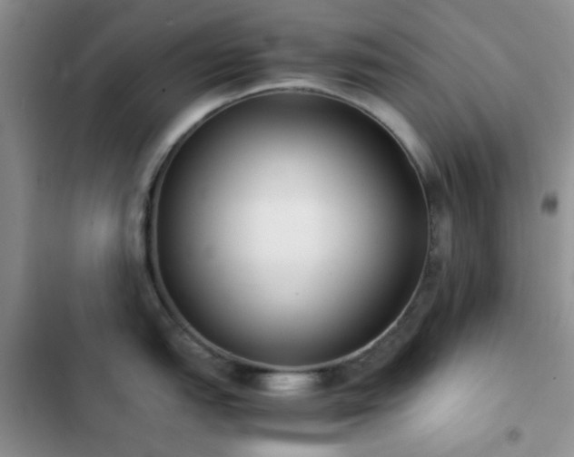 X0000102861151200808181435