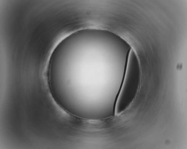 X0000102861152200808181435