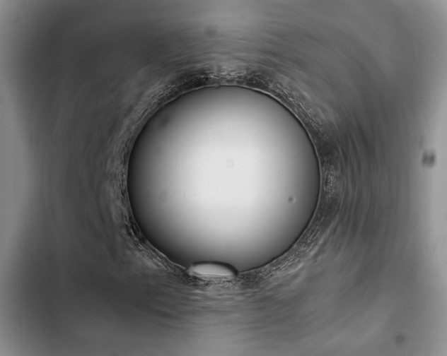 X0000102861153200808181434