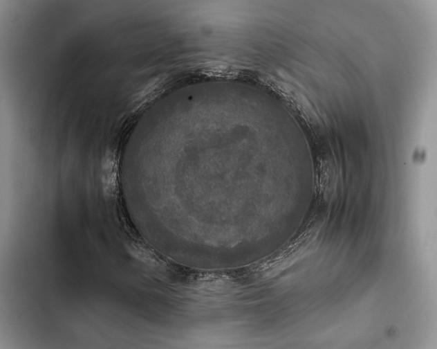 X0000102861154200808181434