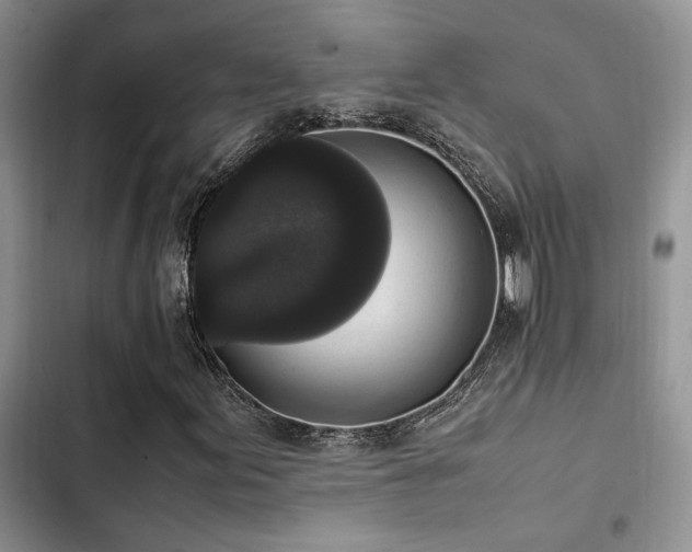 X0000102861155200808181434