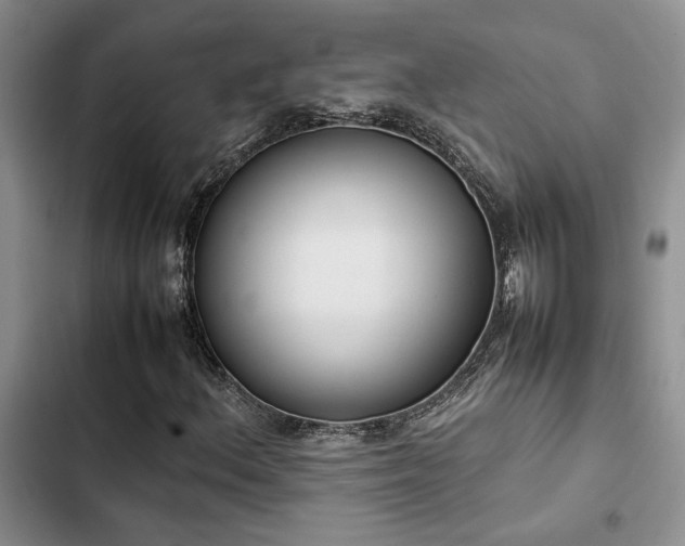 X0000102861156200808181434