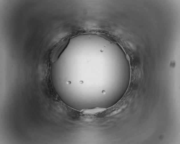 X0000102861157200808181434