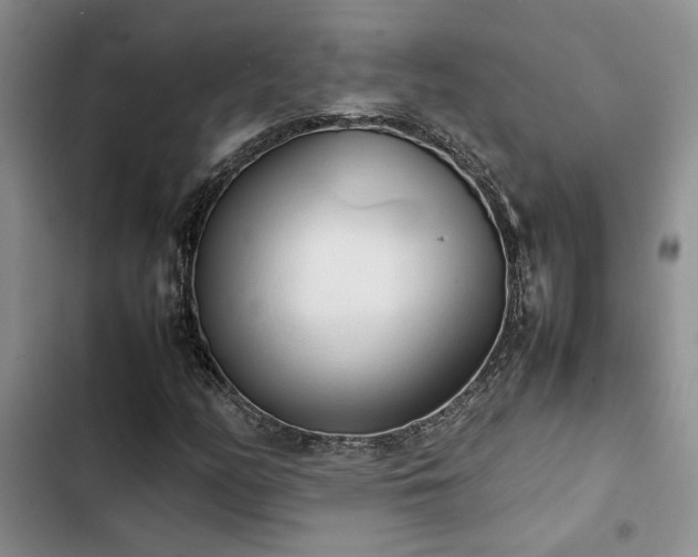 X0000102861158200808181434